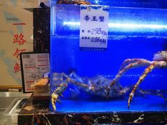 -河马鲜生海鲜超市(风荷园店)
