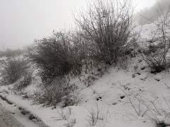 -太子岭滑雪场