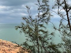 -广东惠东海龟国家级自然保护区