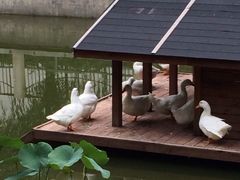 -中央戏剧学院(东城校区)