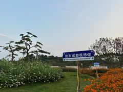 -秀丽东方