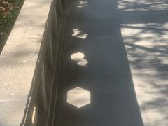 -八大山人梅湖景区