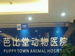 -芭比堂动物医院·24小时·眼科中心(深圳中心)