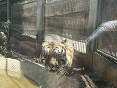 -昆明动物园