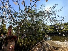 -一寨两国风景区
