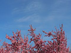 -龙口南山旅游景区