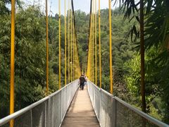 -川西竹海景区