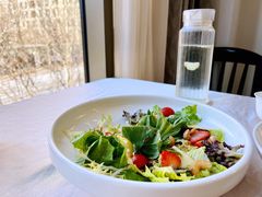 有机蔬果色拉-食神鱼头佛跳墙(百子湾旗舰店)