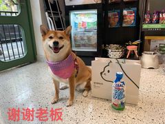 -電力宠物公司(武定路店)