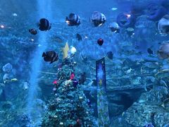 -横店影视城梦幻谷园区