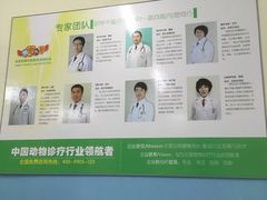 -瑞派宠物医院·24小时骨科·心脏·核磁(哈尔滨南岗店)