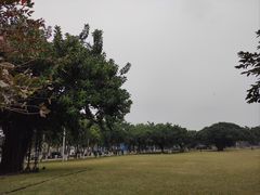 -万绿园