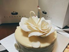 -BLACKSWAN黑天鹅(环球店)