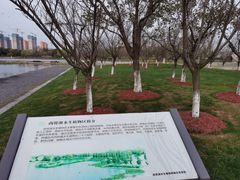 -尚贤河湿地