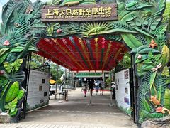 -上海大自然野生昆虫馆