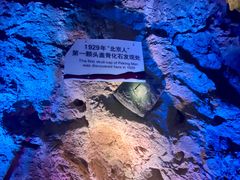 -北京周口店北京人遗址博物馆