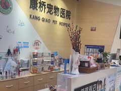 -千城康桥宠物医院·猫科·骨科·心脏