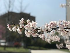 -奉贤区政务服务中心-地下停车场