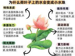 -古力古利托育早教中心(澳门路校区)