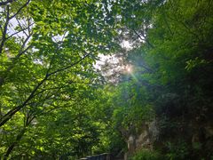 -圣莲山风景区