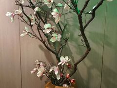 -大逸传奇·足道SPA(天美店)