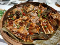 -新兴·金羊座·粤菜点心(乐峰店)