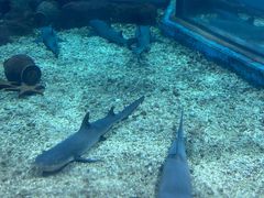-福州罗源湾海洋世界旅游区