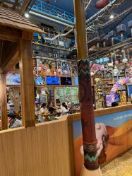 -卡通尼·Safari非洲探索乐园·生日会(金桥国际商业广场店)