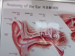 -自然之声助听器·呼吸机(翠微大厦店)