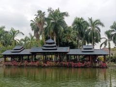 -金花茶公园