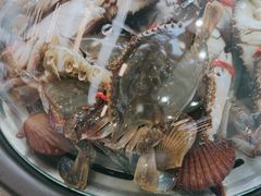 -仙螺岛海鲜自助餐厅(总店)