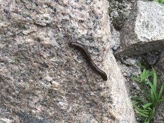 -碓臼峪自然风景区