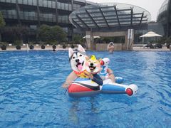 -上海滴水湖皇冠假日酒店