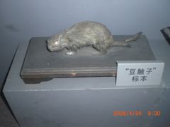 -沈阳“九·一八”历史博物馆