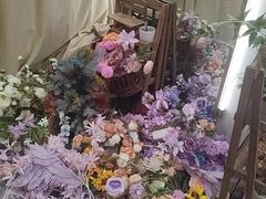 -海马体照相馆(万菱汇店)