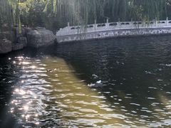 -迎泽公园