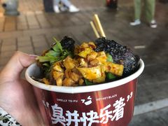 -黑色经典臭豆腐·湖南特产(坡子街店)