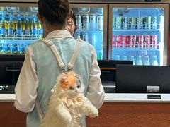 -江味龙虾馆(南山店)