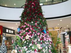 -万达茂商场(南京仙林店)