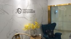 -潘多拉Hairsalon