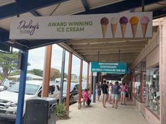 -Dooley's Premium Ice Cream