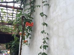 -渔堂公园餐厅·本帮菜(乐园路店)