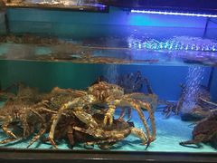 -阿伟海鲜楼·福建菜(延寿店)