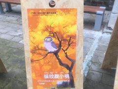 -承恩寺