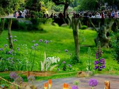 -深圳市中科院仙湖植物园