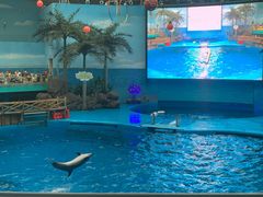 -海合安成都极地海洋公园
