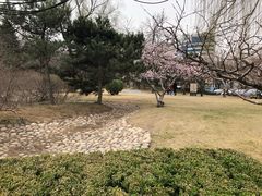 -元大都城垣遗址公园