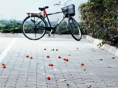 -长椿街(地铁站)