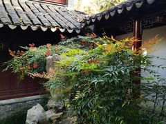 -水绘园