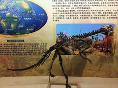 -嘉荫恐龙国家地质公园